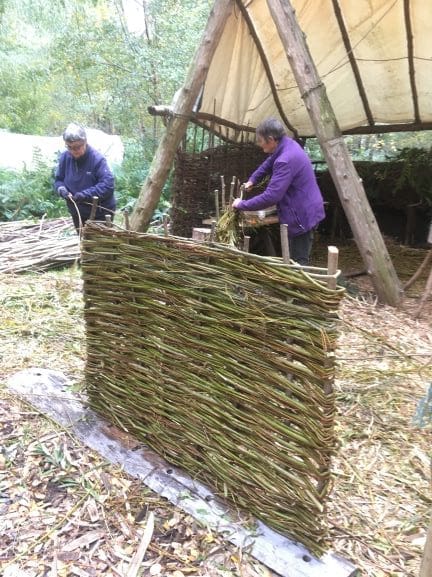 Willow hurdle making - Image 6