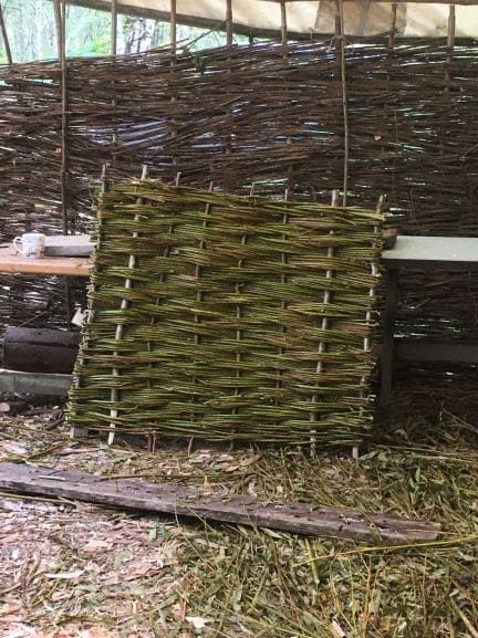 Willow hurdle making - Image 3