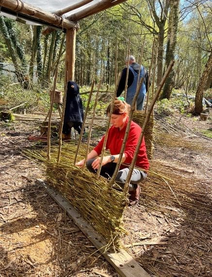 Willow hurdle making
