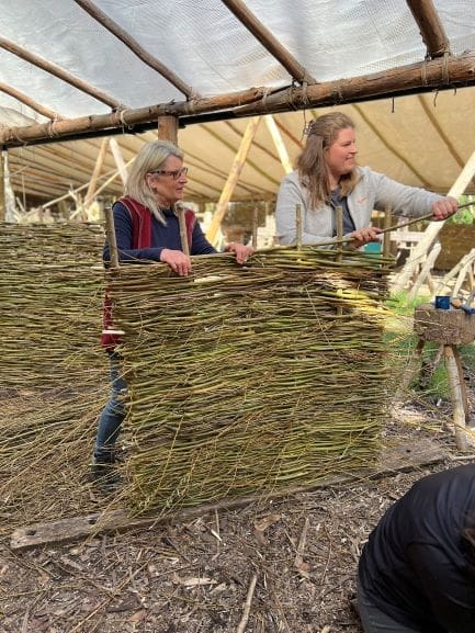 Willow hurdle making - Image 2